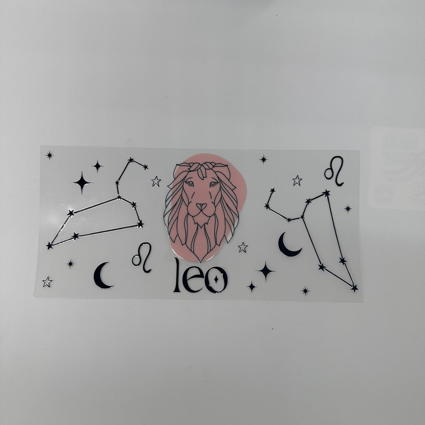 Leo 2