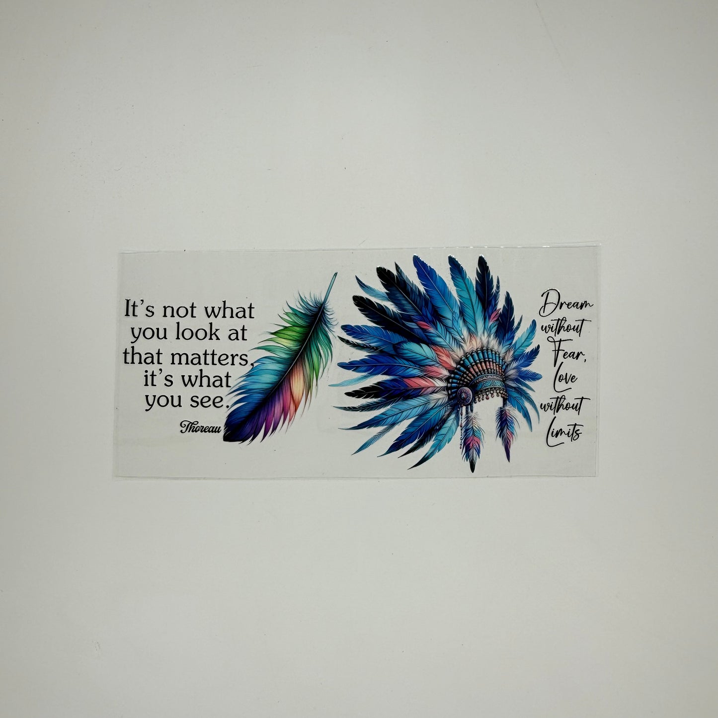 Dream Without Fear Quote