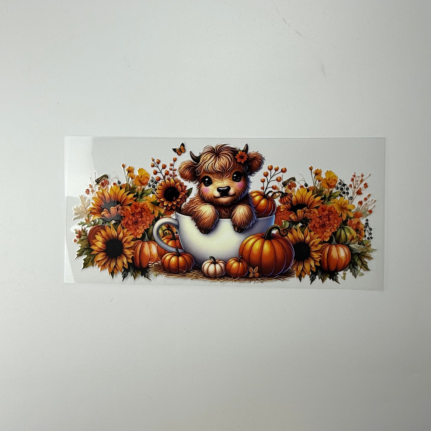 Calf in Cup with Pumpkins