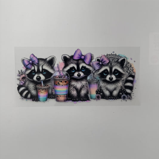 Racoon purple bow trio