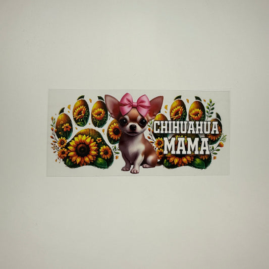 chihuahua mama