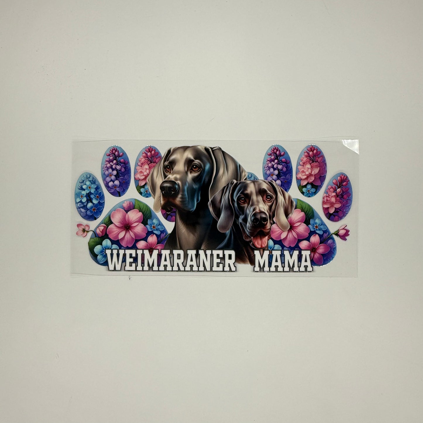 Weimaraner Mama