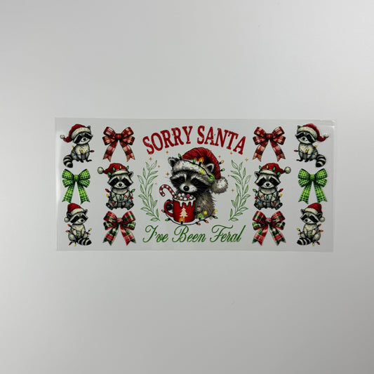 Christmas - Sorry Santa Quote
